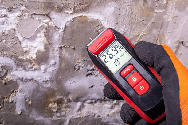 Best Mold Testing  in Prieville, NC