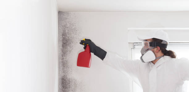 Best Office Mold Removal Services  in Prieville, NC