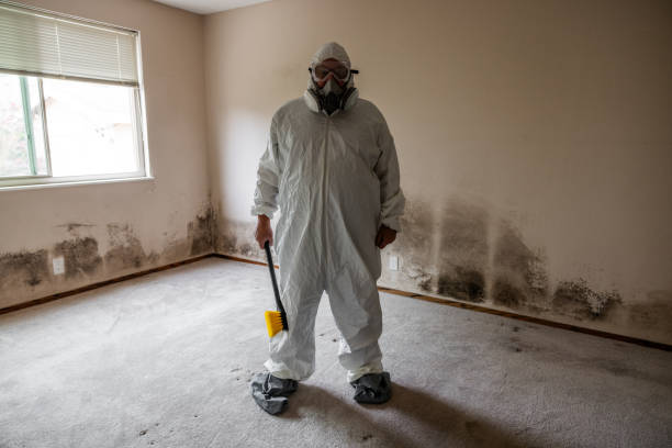 Best Mold Remediation  in Prieville, NC